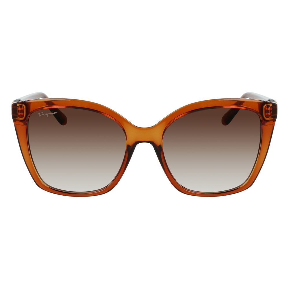 Lunettes de soleil Ferragamo marron injecté