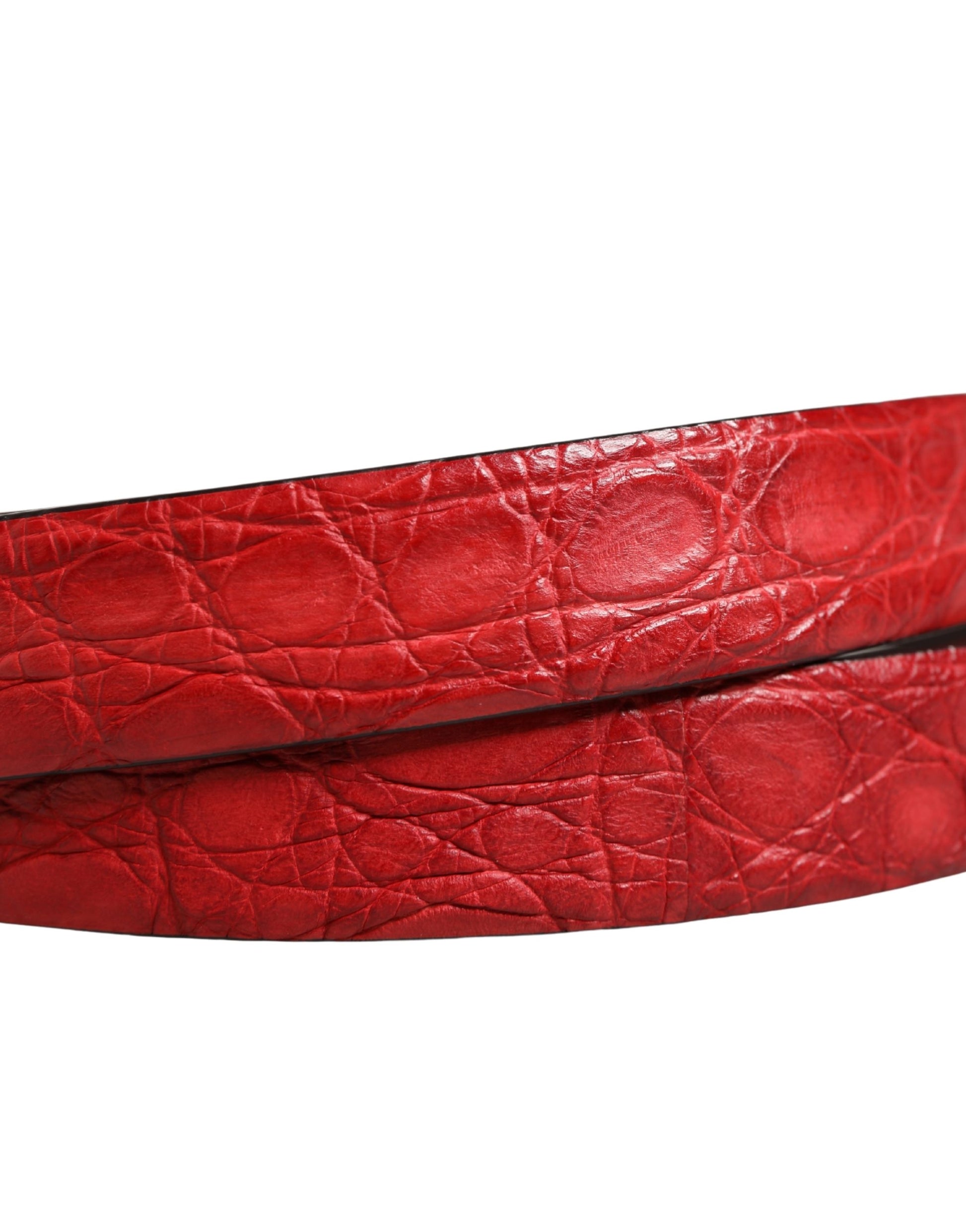 Ceinture Dolce & Gabbana pour homme en cuir exotique rouge à boucle métallique
