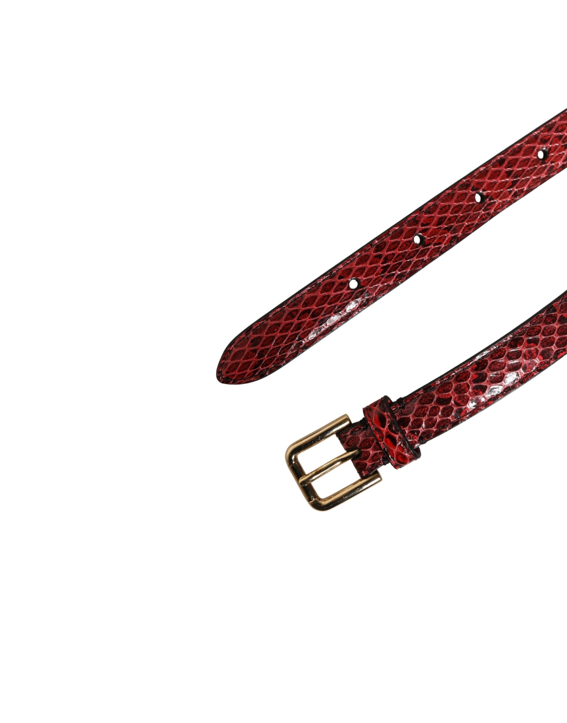 Ceinture Dolce & Gabbana en cuir rouge ornée de cristaux marguerites