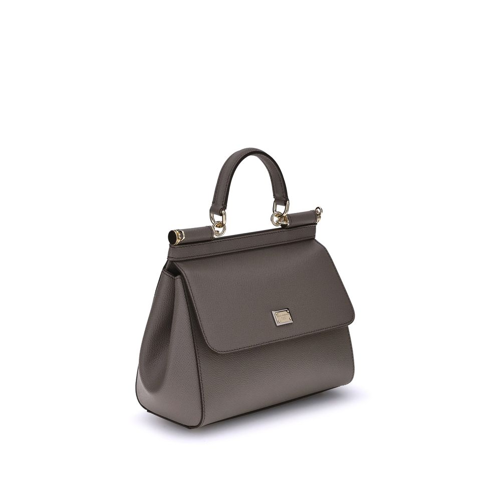 Dolce & Gabbana Gray Calf Leather Bos Taurus Handbag