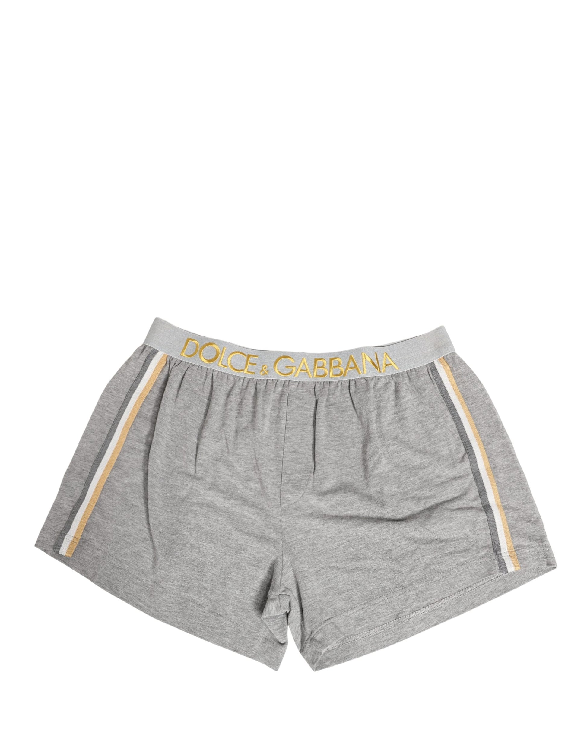 Caleçon Homme Dolce & Gabbana en Coton avec Ceinture Logo Grise