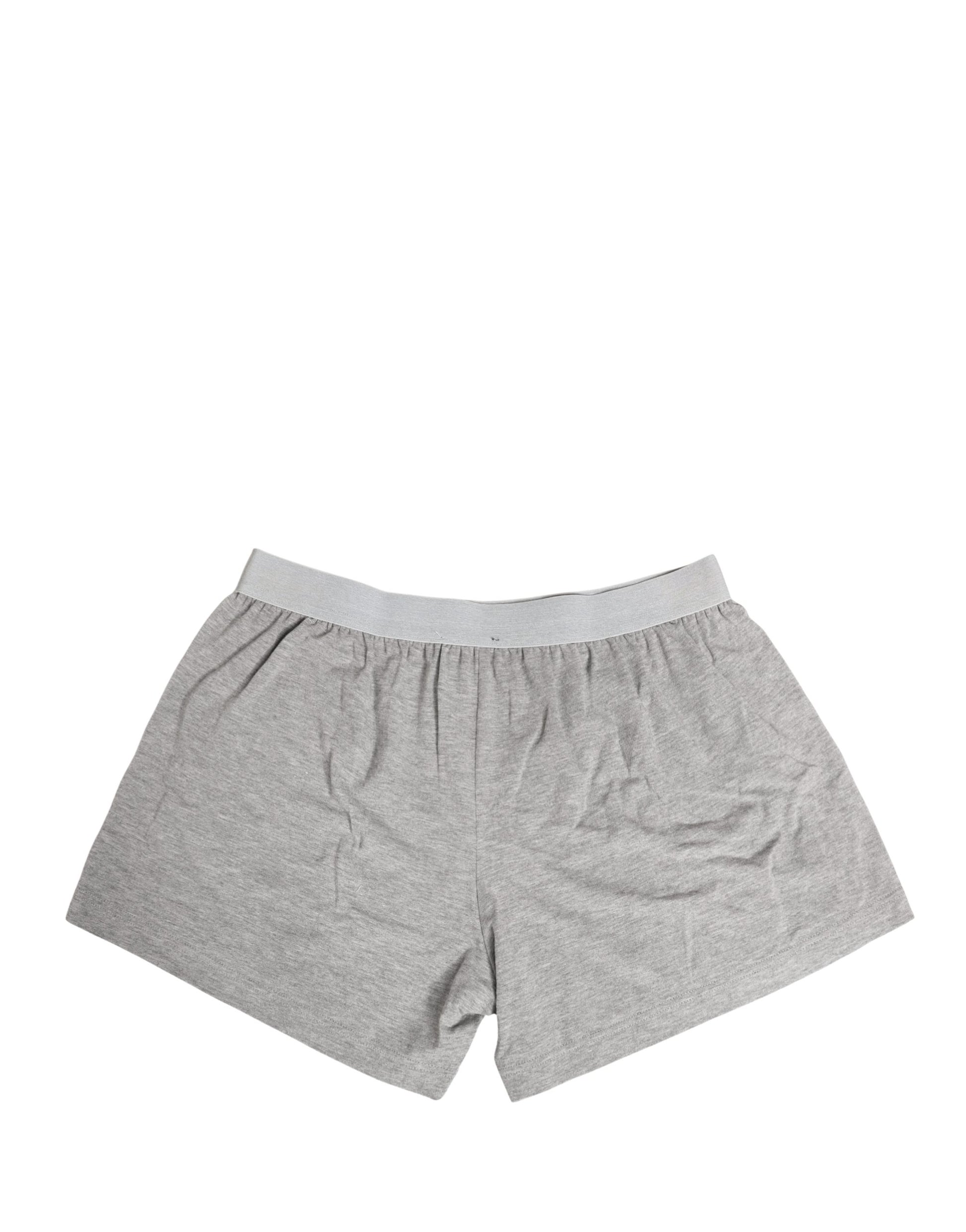 Caleçon Homme Dolce & Gabbana en Coton avec Ceinture Logo Grise