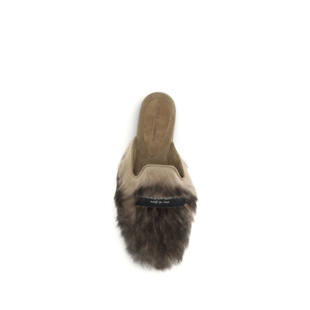 Mules Dolce & Gabbana grises en agneau Ovis Aries Aries