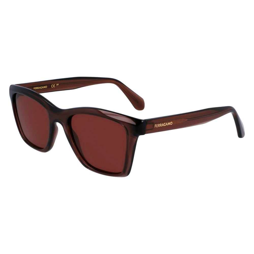Lunettes de soleil Ferragamo marron injecté