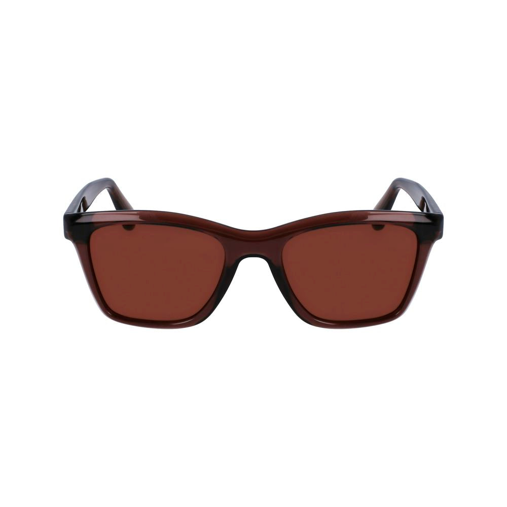Lunettes de soleil Ferragamo marron injecté