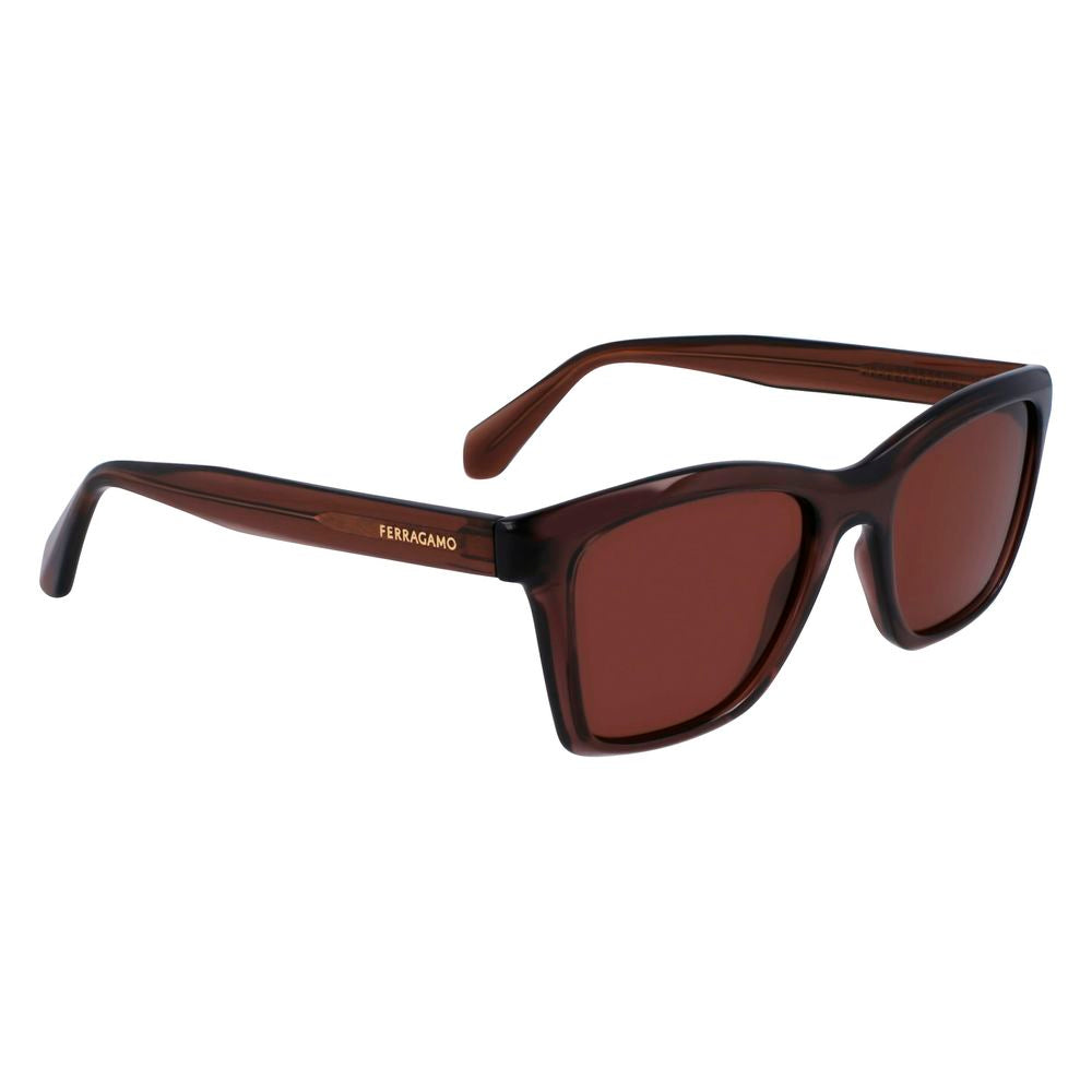 Lunettes de soleil Ferragamo marron injecté