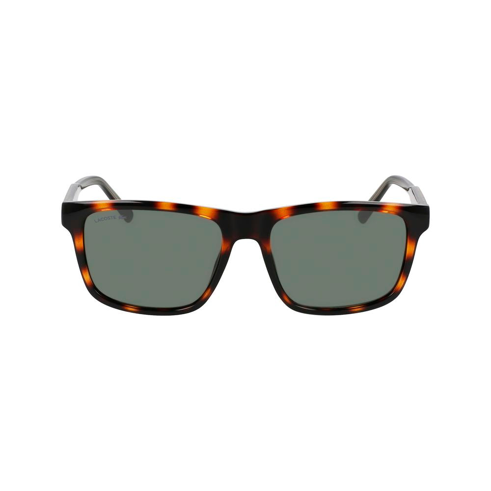 Lunettes de soleil injectées marron Lacoste