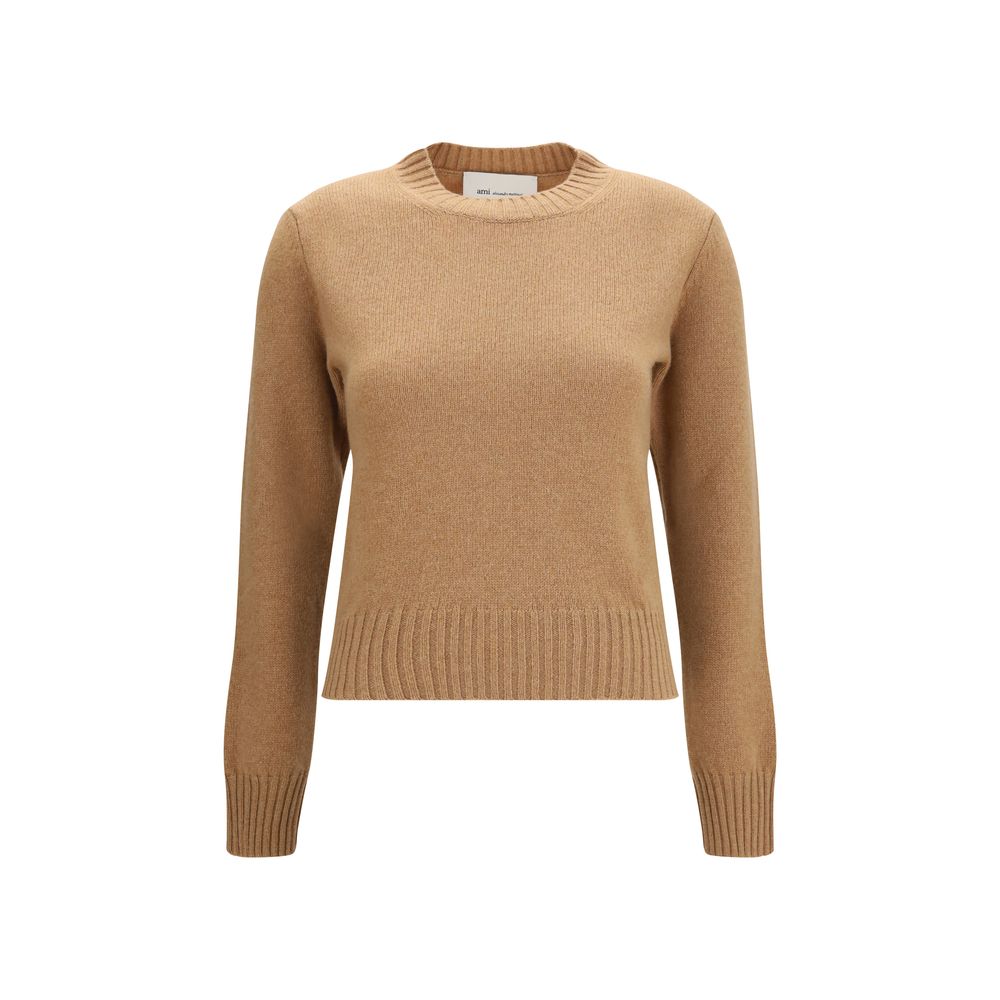 Ami Paris Braunes Woll-Oves-Aries-Sweatshirt