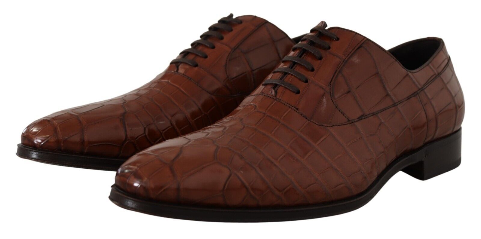 Chaussures Richelieu Homme Formelles en Cuir de Crocodile Marron Dolce & Gabbana