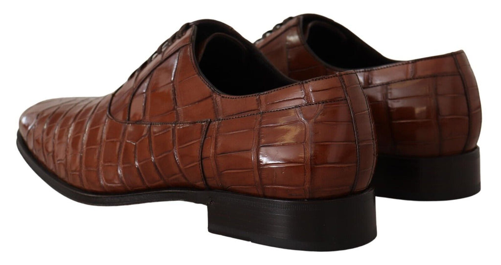 Chaussures Richelieu Homme Formelles en Cuir de Crocodile Marron Dolce & Gabbana