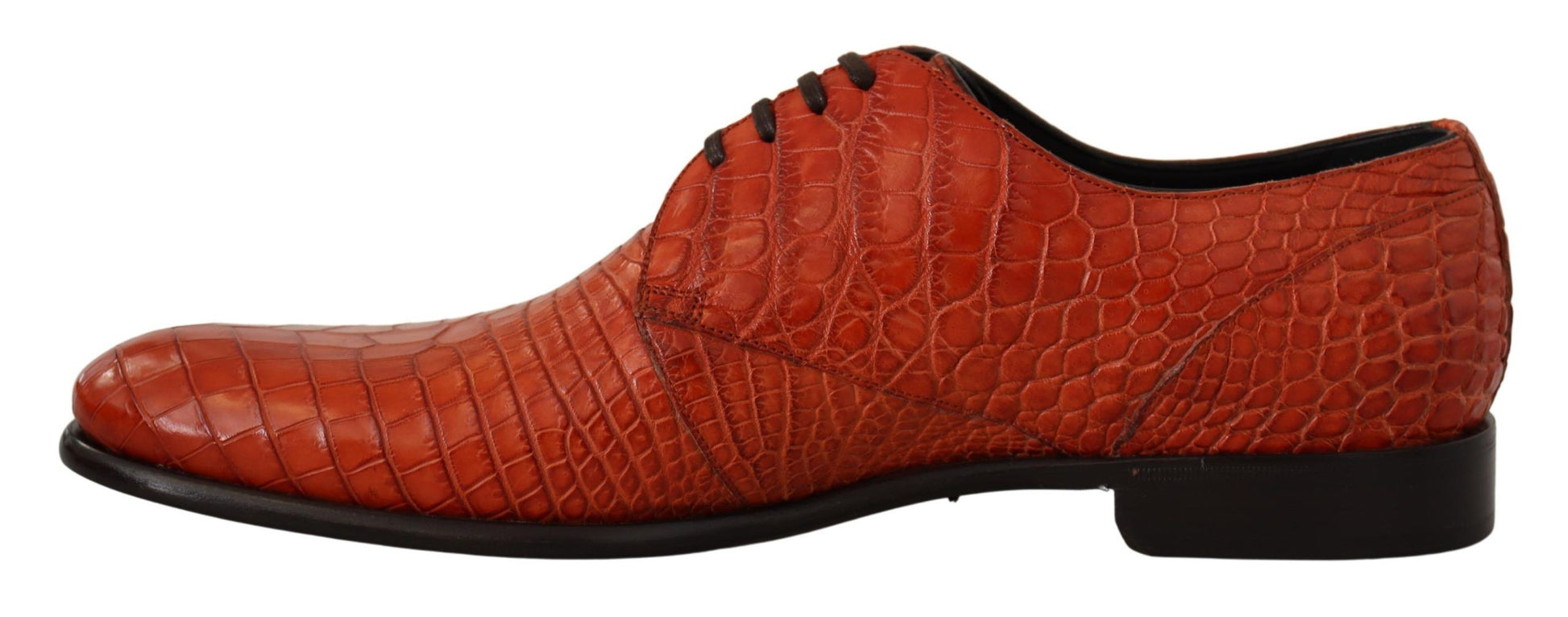 Chaussures Richelieu Dolce & Gabbana en cuir exotique orange