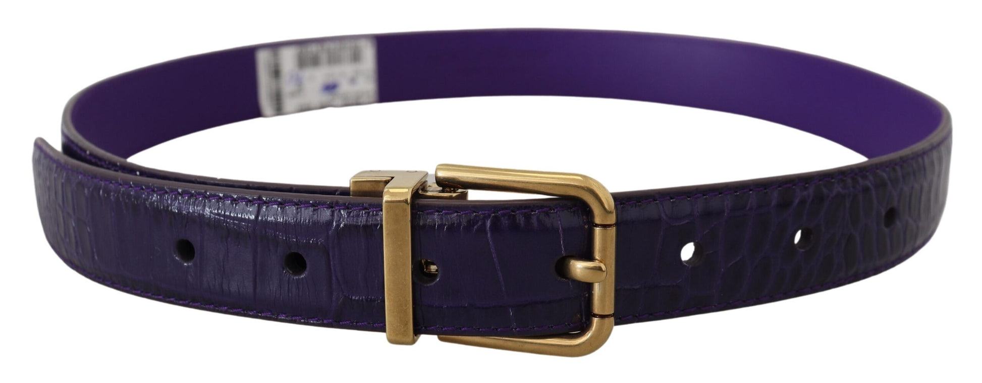 Ceinture Dolce & Gabbana en Cuir Exotique Violet avec Boucle en Métal Doré