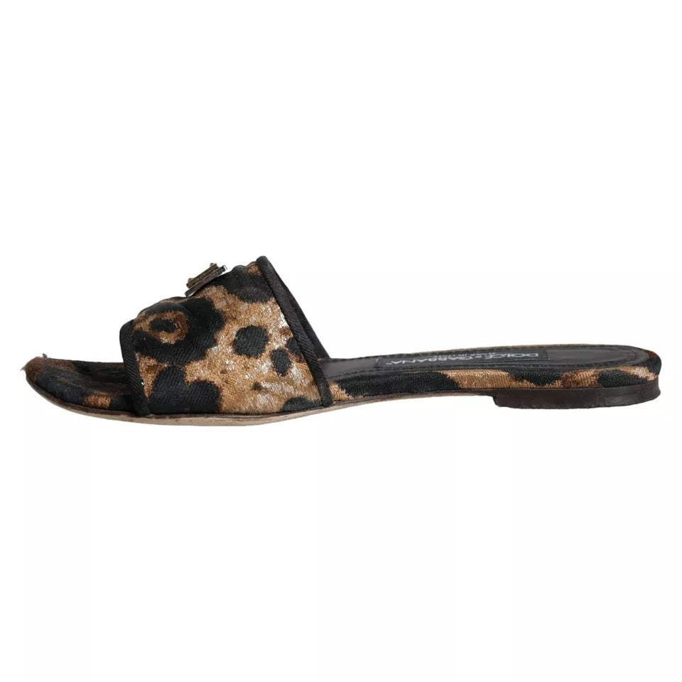 Dolce & Gabbana Claquettes Plates Léopard Marron à Logo Sandales Chaussures