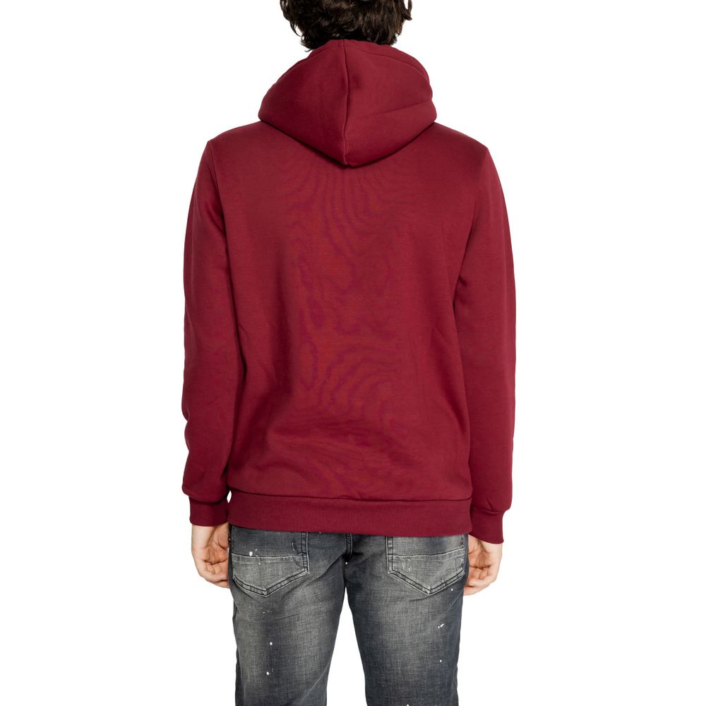 Kapuzenpullover aus Baumwolle mit bordeauxrotem Logo