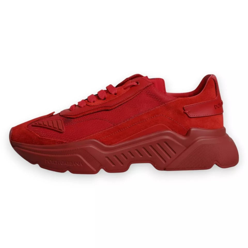 Chaussures Baskets Basses Dolce & Gabbana Daymaster en Cuir Rouge