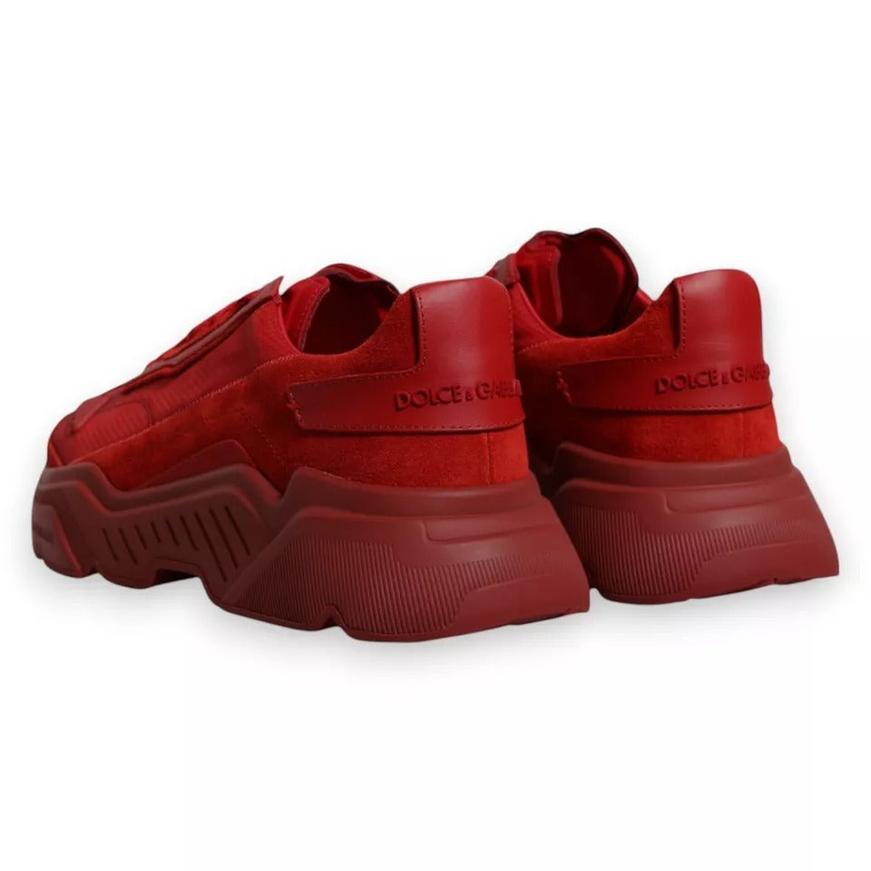 Chaussures Baskets Basses Dolce & Gabbana Daymaster en Cuir Rouge