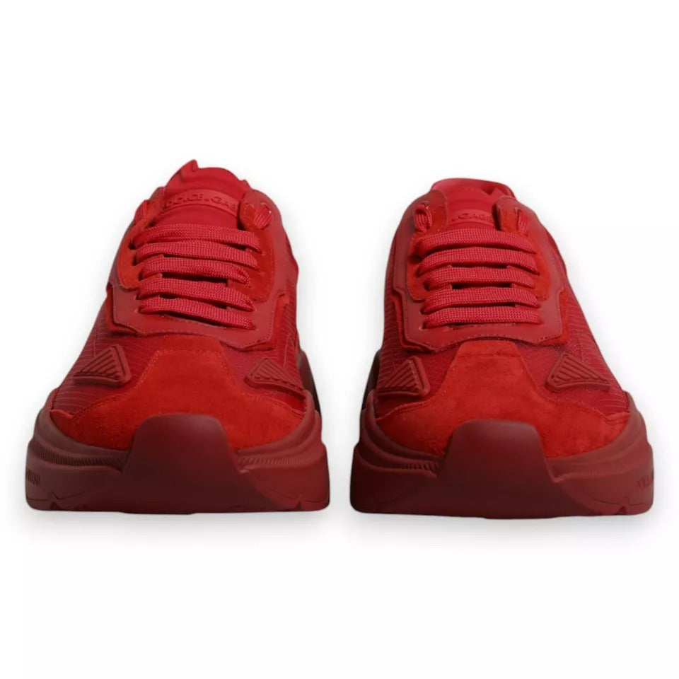 Chaussures Baskets Basses Dolce & Gabbana Daymaster en Cuir Rouge