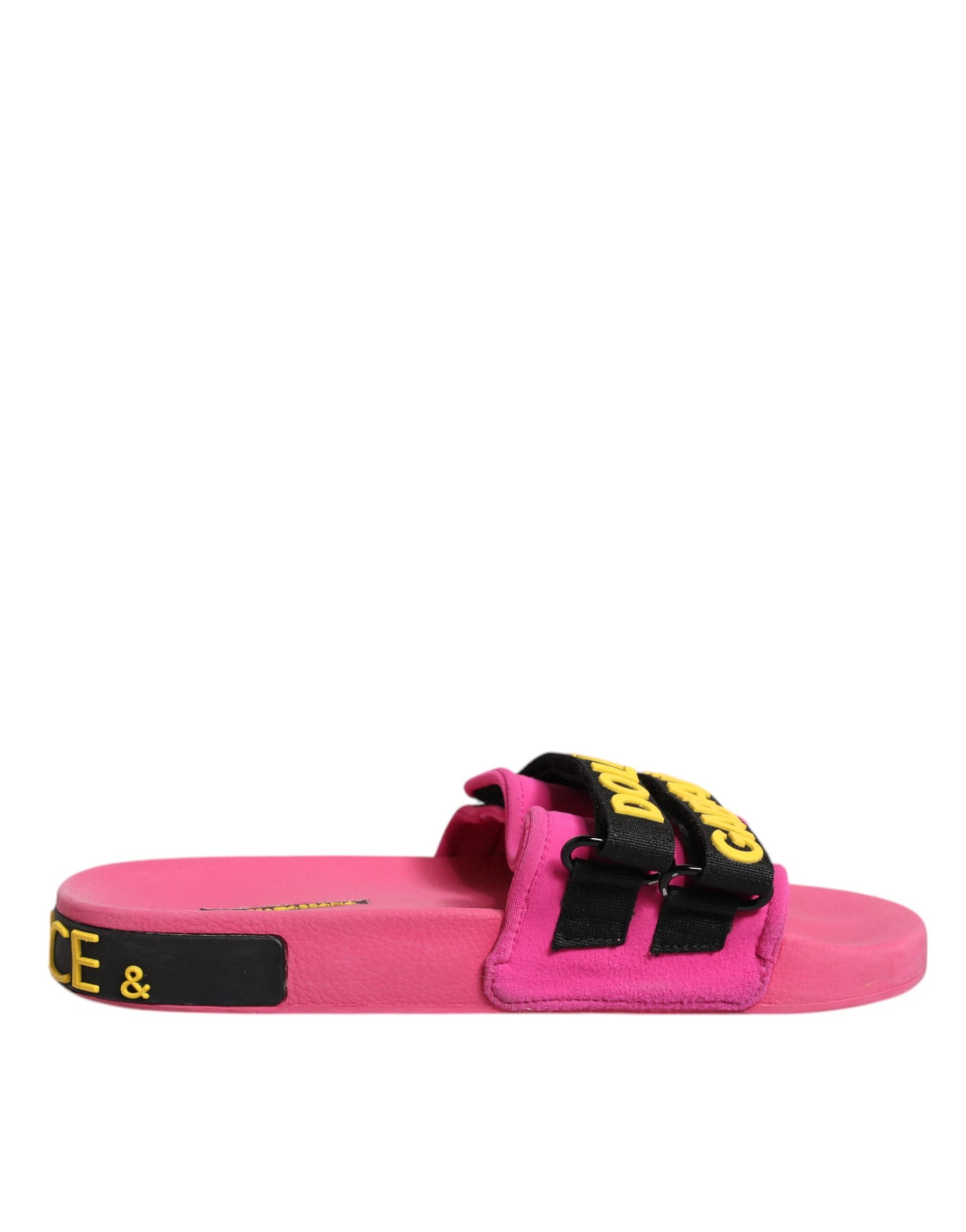 Chaussures plates de plage Dolce & Gabbana en néoprène fuchsia