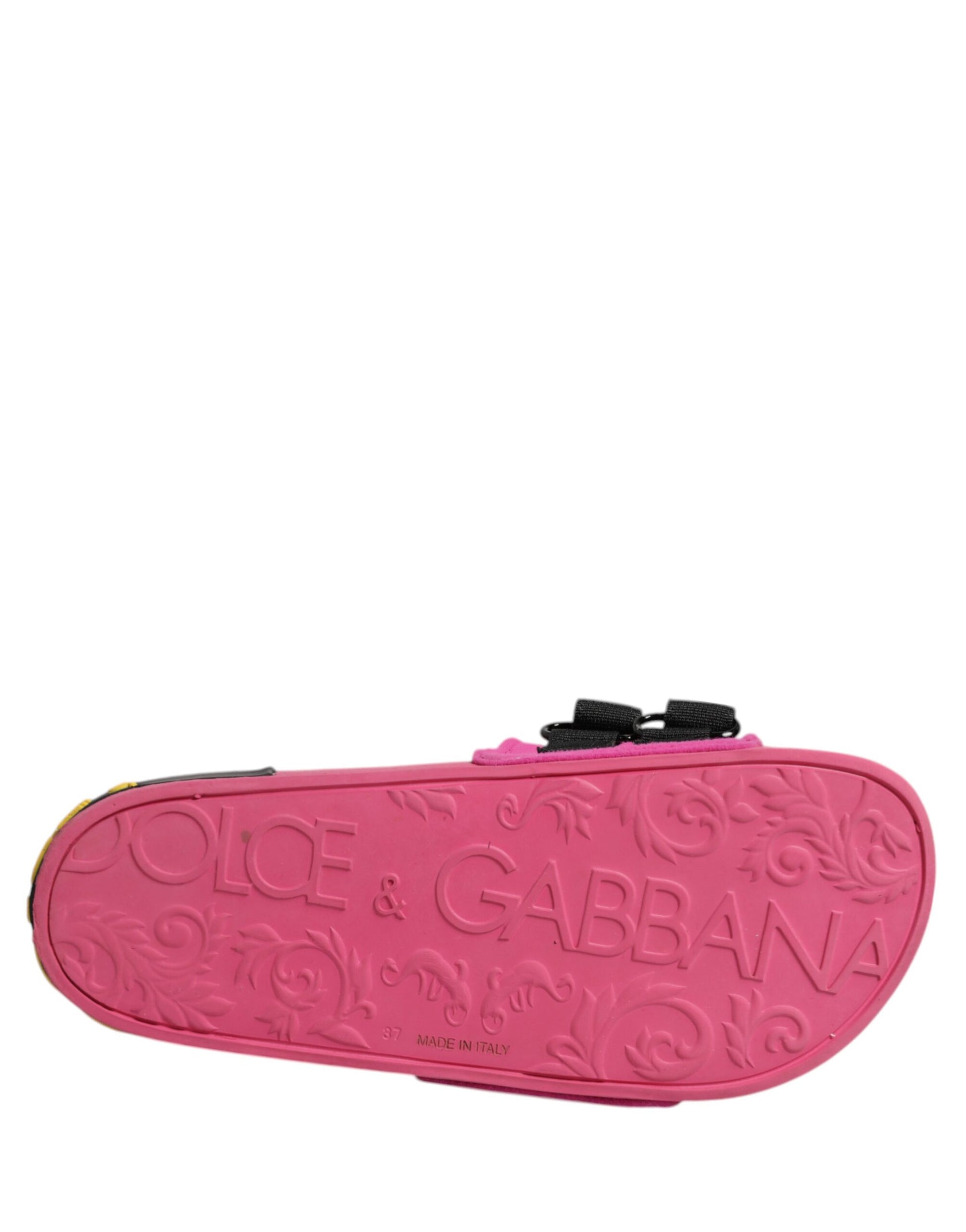 Chaussures plates de plage Dolce & Gabbana en néoprène fuchsia