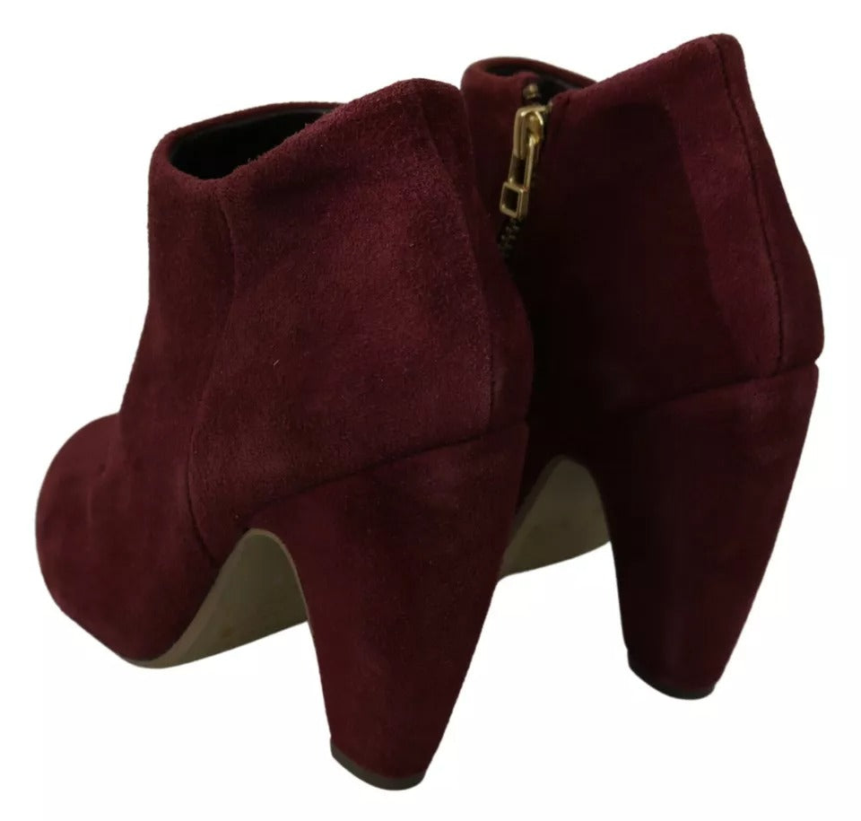Chaussures bottines Penelope en daim velours bordeaux Steve Madden