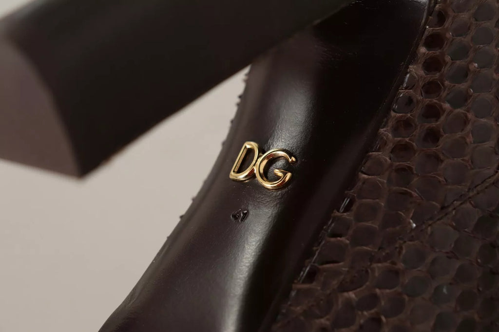 Chaussures Bottes Hautes à Talons en Cuir Exotique Marron Dolce & Gabbana