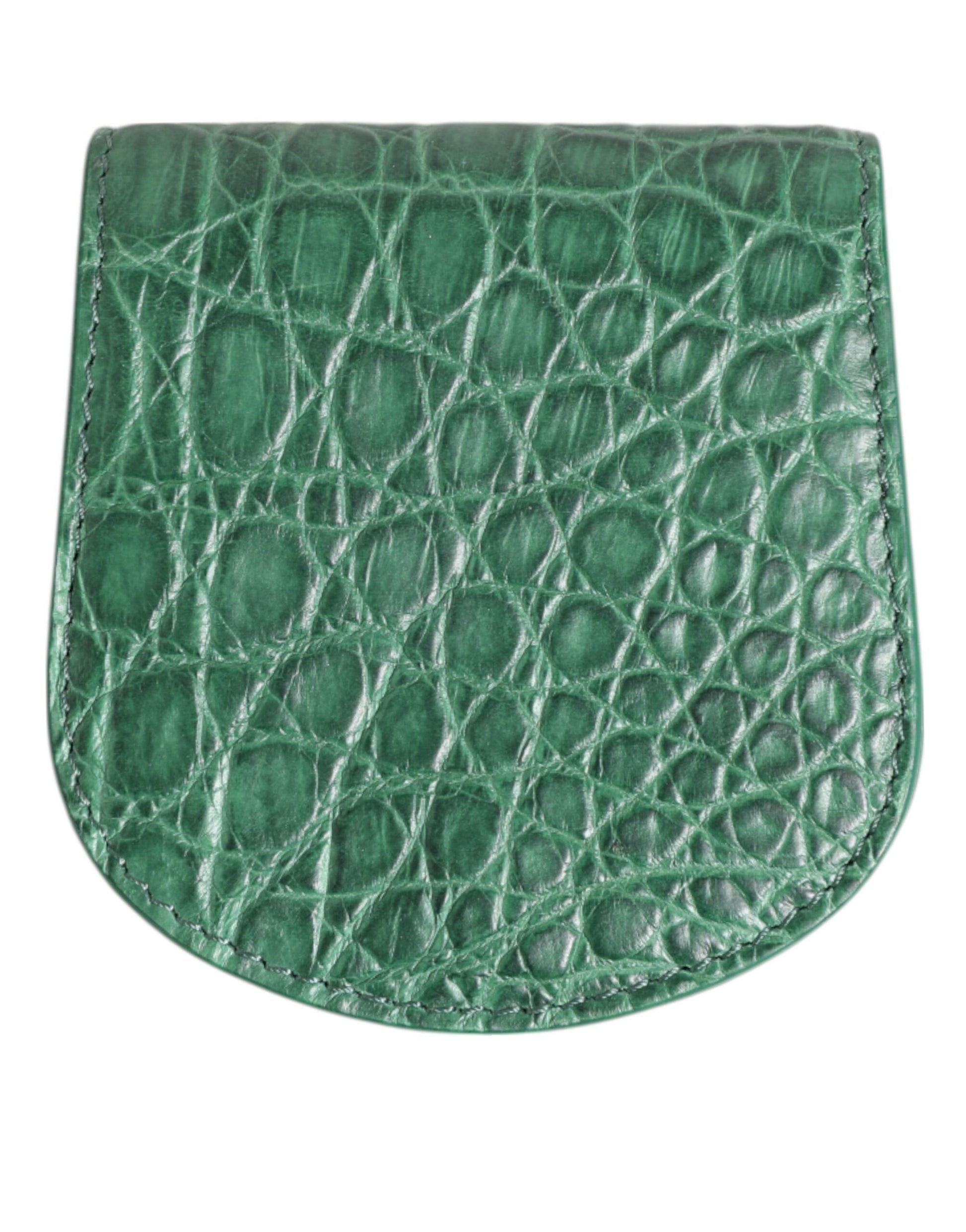 Étui de Préservatif/Monnaie en Peau Exotique Vert Dolce & Gabbana Porte-Monnaie de Poche